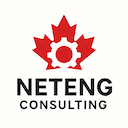 NETENG Consulting logo